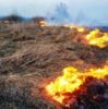 Рятувальники Чернігівщини 9 разів залучались до ліквідації пожеж
