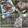 Чернігівським рибоохоронним патрулем за тиждень викрито 61 порушення та вилучено 111 кг незаконно добутої риби