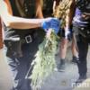 У Чернігівському районі поліція знищила наркотичну плантацію