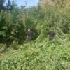 Проводиться загальнодержавна оперативно-профілактична операція