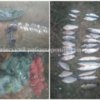 На озері біля с. Слабин виявлено порушників з 12 кг риби, - Чернігівський рибоохоронний патруль