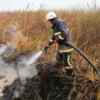 Упродовж доби вогнеборці ліквідували 9 пожеж у природних екосистемах