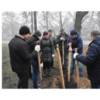 Скільки і чого висаджено у Чернігові?