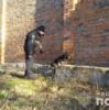 Поліція затримала чоловіка, який