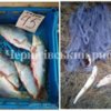64 кг незаконно добутих водних біоресурсів та 57 од. заборонених знарядь лову вилучено протягом тижня
