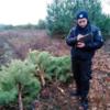Поліція розслідує незаконну порубку новорічних дерев на території лісництва