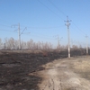 Держекоінспекція у Чернігівській області попереджає про пожежну небезпеку