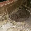 В прикордонні затримали браконьєрів