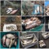 Чернігівським рибоохоронним патрулем протягом січня вилучено понад тонну незаконно добутої риби та понад 2 км сіток