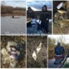 З початку місяця Чернігівським рибоохоронним патрулем викрито 20 порушень Правил рибальства