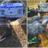 Чернігівським рибоохоронним патрулем на Городнянщині викрито електролов зі збитками понад 17 тис.грн