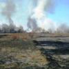 Впродовж минулої доби рятувальники ліквідували 6 пожеж у природних екосистемах
