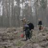Цього року лісгоспи Чернігівщини охопили лісовідновленням понад 1750 гектарів лісів