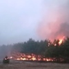 Козелецький район: триває ліквідація масштабної пожежі лісу