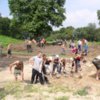 До 25 річниці відкриття Батурина археологами