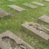 Вандали розтрощили німецький цвинтар