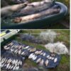 Чернігівським рибоохоронним патрулем викрито грубе порушення Правил рибальства з ознаками кримінального злочину