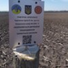 Активісти відновили межі п'яти розораних курганів