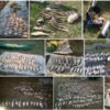 Чернігівським рибоохоронним патрулем протягом двох місяців нерестової заборони викрито 415 порушень