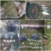 Чернігівським рибоохоронним патрулем за тиждень зафіксовано 20 порушень Правил рибальства