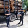 У Сновську поліція затримала вантажівку з лісом без відповідних документів