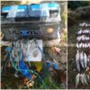 Чернігівським рибоохоронним патрулем попереджено лов електровудкою та викрито браконьєрів