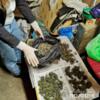 Поліцейські вилучили наркотиків на понад мільйон гривень