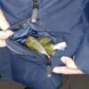 В пункті пропуску виявлено правопорушника з наркотичною речовиною у кишенях