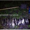 Чернігівським рибоохоронним патрулем протягом дня викрито два грубих порушення Правил рибальства зі збитками понад 6 тис грн