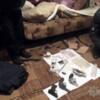 Талалаївські поліцейські виявили у місцевого мешканця наркотики та зброю
