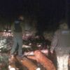 Прикордонники стали на заваді знищенню зелених насаджень