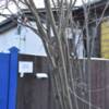 У Чернігові облаштували три стаціонарних пункти обігріву, один з них - цілодобовий