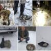 Чернігівським рибоохоронним патрулем протягом лютого зафіксовано 168 порушень Правил рибальства