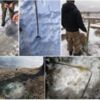 За тиждень викрито 36 порушень Правил рибальства, - Чернігівський рибоохоронний патруль