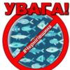 Де на Чернігівщині не можна буде ловити рибу з 1 квітня?