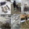 За тиждень викрито 52 порушення Правил рибальства, - Чернігівський рибоохоронний патруль