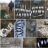 За перший тиждень нерестової заборони виявлено 51 порушення правил рибальства, - Чернігівський рибоохоронний патруль