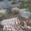 Чернігівським рибоохоронним патрулем викрито браконьєра, який під час нересту незаконно добув 19 кг риби