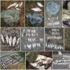 За тиждень виявлено 45 порушень правил рибальства зі збитками понад 21 тис. грн, - Чернігівський рибоохоронний патруль