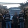 На Чернігівщині поліцейські припинили діяльність організованого злочинного угруповання викрадачів лісу