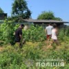 Операція «Мак-2021»: поліцейські ліквідували понад 300 наркомістких рослин