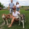 13 дорослих собак Хаскі тримає подружжя на Чернігівщині