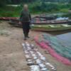 У серпні чернігівський рибоохоронний патруль вилучив 242 кг незаконно добутих водних біоресурсів та понад 4 км сіток