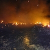 На Борзнянщині згоріло 470 тонн грубих кормів