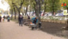 У Прилуках висадять 130 кущів троянд, 400 тюльпанів та посіють 3,5 тис. кв. м газонної трави