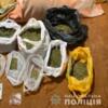 Поліцейські Чернігівщини вилучили наркотичні речовини на понад 200 тисяч гривень