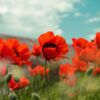 22 червня - цей день в Україні і світі