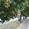 120й ранок Широкої війни