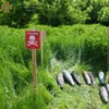 За добу на Чернігівщині виявлено 233 вибухонебезпечні предмети — інформація від ГУ ДСНС в області станом на ранок 24 червня