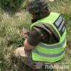 Вибухотехніки обласної поліції знешкодили небезпечні касетні боєприпаси у Городнянській громаді 
